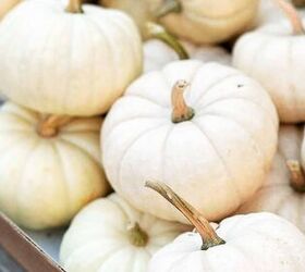 Why these little white pumpkins made for the perfect centerpiece