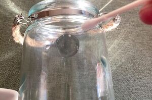 Wipe a glass jar with a Q-tip for this pretty decor idea