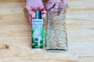 Use a plain glass vase for this stunning decor hack