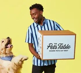 Would You Eat Your Dog's Food? With This Brand, You Actually Could.