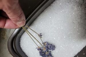 She dips lavendar into Epsom salt for breathtaking holiday decor