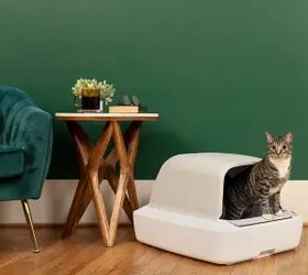 Don't Miss PetSafe's Massive Holiday Sale: $75 Off Site-Wide + Deep Discounts on Smart Tech