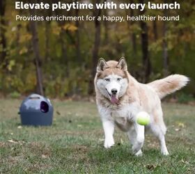 Don't Miss PetSafe's Massive Holiday Sale: $75 Off Site-Wide + Deep Discounts on Smart Tech