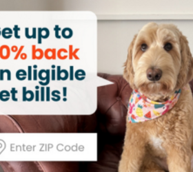 Could This Be the Right Financial Move for Your Pet's Health? Check Spot's Customizable Options!