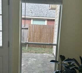 christmas tree window