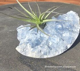 What are air plants and why are Hometalkers really getting into them this week?