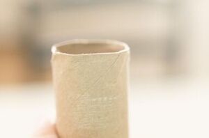 Use toilet paper rolls for this cute and easy Valentine's Day idea