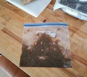 She puts brown paint into a Ziploc bag for one-of-a-kind Valentine's Day decor you might have to see to believe