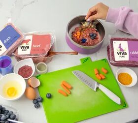 What If You Could Feed Your Pets Human-Grade Meals for 50% Less?