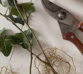 Add life and color to your home with this easy and fun growing trick