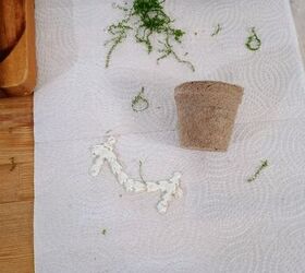 She stuffs a bit of peat into a tiny clay pot for something SO cute for Sunday