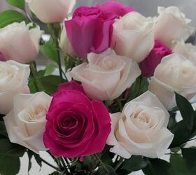 6 foolproof ways to preserve ALL your flowers this season