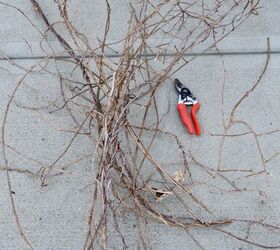 She gathered a bunch of loose branches for this idea that made her front door look AMAZING
