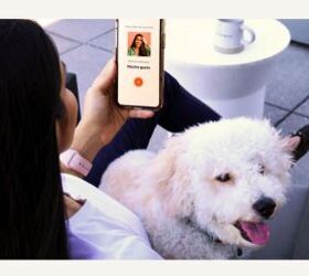 The 15-Minute Language Secret.