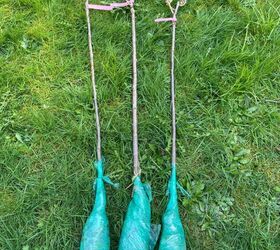 Why this 4-hour idea is "one of those deeply satisfying gardening projects"