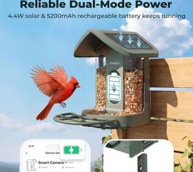 Kiwibit Bird Feeder 2 - image via Amazon