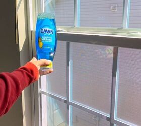DIY window cleaning hack that helps repel insects naturally