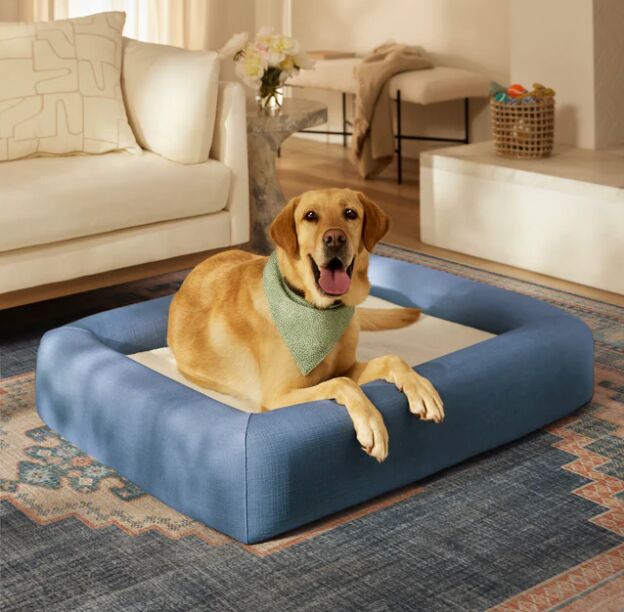 Cat Ruggable 5 Spots You’re Not Using a Ruggable Rug (But Should Be) | Hometalk
