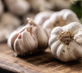 This clever Hometalker shares her trick to keep these unpleasant creatures far away from her home and garden