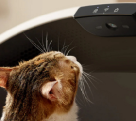 Petlibro Luma Smart Litter Box: The High-Tech Solution That Does More Than Just Scoop