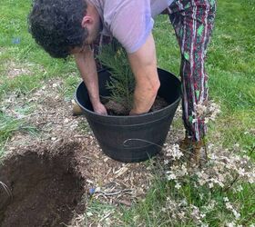 Here's how to plant a tree that's more than just gardening but "an act of legacy"
