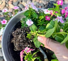 Combine water and flowers like this to add beauty and tranquility to your outdoor spaces this season