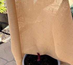 She wrapped burlap around an old planter for a Pottery Barn-inspired look for almost $0
