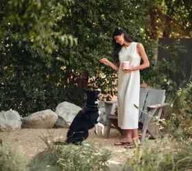Must-Have Spring Allergy Relief for Dogs