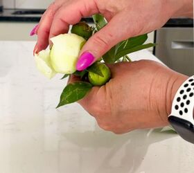 Peony season is here! Here's how to make them last longer AND look their best