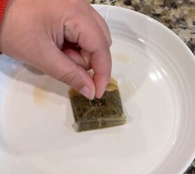 tea garden tricks, Easy tea bag seed starter hack for faster windowsill sprouting at home