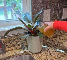 Don’t Throw Away Your Tea Bags Until You Try These Garden Tricks