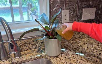 Don’t Throw Away Your Tea Bags Until You Try These Garden Tricks