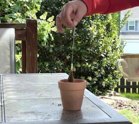 tea garden tricks, Biodegradable tea bags tucked into garden soil before planting flowers and herbs