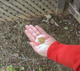 tea garden tricks, Sustainable gardening hack