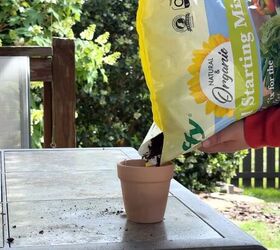 tea garden tricks, Eco friendly gardening ideas