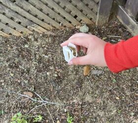 tea garden tricks, Creative ways to recycle tea bags