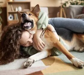 What’s Better Than One Day of Pet Deals?