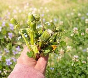This might be the most magical thing we've seen anyone do with a bunch of dandelions (in 5 easy steps)