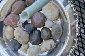 Pour water on a cloche dish for this enchanting idea