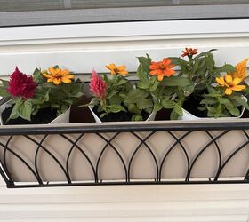 How to Use Self-Watering Inserts in Narrow Window Boxes