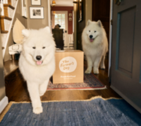 The Fresh Dog Food That Puts Science in the Bowl