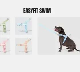 What If Walks Felt Easier Before You Even Left the House?
