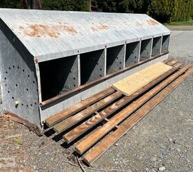 She did WHAT with this old chicken coop?