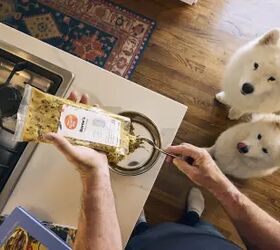 The Dog Food Test Most Pet Owners Don’t Know to Ask About