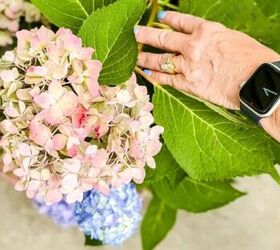 The easy and beautiful way to enjoy your hydrangeas all year round