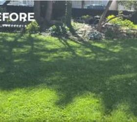 Half a million people watched what we did with this patch of grass.
