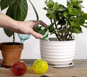 5 tools everyone needs to make summer gardening a breeze
