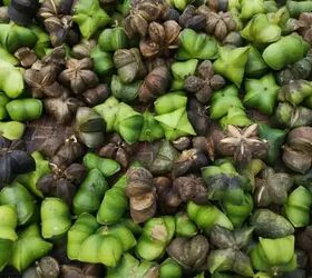I Have 25g Of Protein, 85+ Superfoods, And Fit In Your Bag. What Am I?