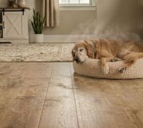 The floor cleaning tool that finally kicked the pet smell they'd stopped noticing.