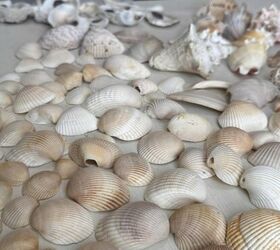 Use all those shells you picked up this summer to give your home coastal vibes all year round
